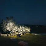 Quinta Dona Iria